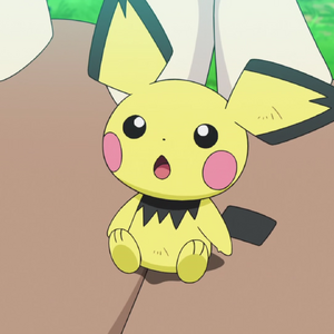 Pikachu Family Pokemon Pokemon Wiki Fandom This is a complete list of all 894 species of pokémon currently known to exist. pikachu family pokemon pokemon wiki
