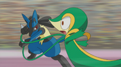 Lucario grabs Snivy's vines