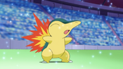 Dawn's Cyndaquil