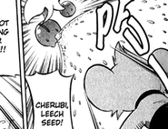 Leech Seed being used by Gardenia's Cherubi (DPA).