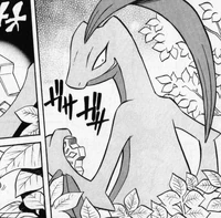 Grovyle BET