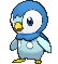 Piplup XY
