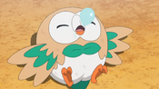 Rowlet simply snoozed away from the excitement