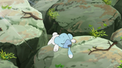 An unconscious Cubchoo appears