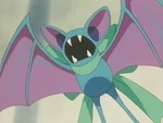 Anna had a female Zubat, who uses Supersonic to check patients.