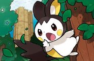 Emolga TCG Kanako Eo