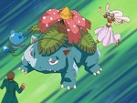May was kidnapped by a Skarmory and ended getting lost in a place called the Forbidden Forest, which is a preserve for Grass-type Pokémon. Then May met a clumsy Bulbasaur trying to pick flowers. It eventually evolved in a Ivysaur and much later it evolved into a Venusaur.