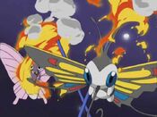 Beautifly and Venomoth are freed