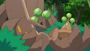 Bonsly in the anime.