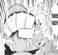 Dusknoir BET Thunder Punch.png (423 KB) Thunder Punch being used by Dusknoir (BET).