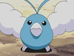 May befriended a Swablu after its wing got injured.