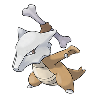 105Marowak