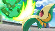 Using Leaf Blade via Copycat as Riolu