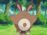 Chaz sent Sentret to train Ash's Pikachu to use Iron Tail move.
