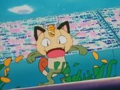 Meowth's costume is ripped to pieces