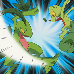 Leaf Blade Pokemon Wiki Fandom