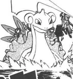 Spenser's Lapras was used to surf past the water, towards the Artisan Cave. It was used in Emerald's Battle Palace challenge.