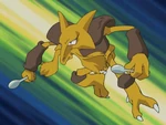 Vito sent Alakazam, who summoned rain to calm the raging Camerupt down.