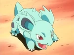 Nidorina was the first Pokémon used by Whitney in the Gym battle.