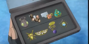 All of Ash's Kalos Badges