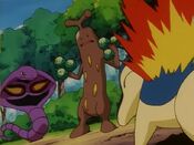 Sudowoodo faces two opponents