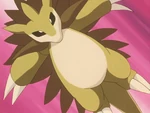 Jenaro owns a Sandslash, who helps him in making the Silver Wings.