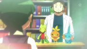 Professor Birch cameo XY