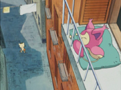 Meowth tries to find a way to get to Skitty