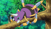 Shiny Ariados anime