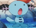 Temacu's father had a Wooper for his research.