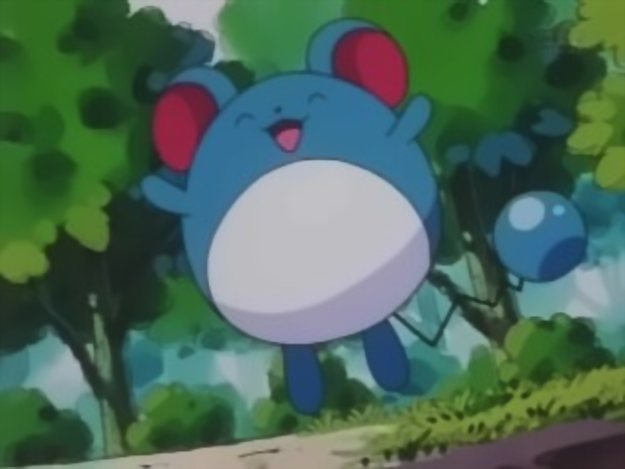 Wilhomena S Marill Pokemon Wiki Fandom