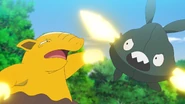 Pound being used by Goh's Drowzee.