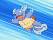 May Wartortle