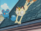 Meowth fails to grab Azurill