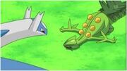 Sceptile defeat