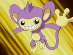 Aipom originally met Ash on a mountain where she worshiped a Giant Slaking, where she stole Ash's hat. However after Ash found Aipom, they quickly befriended. Ash originally was going to give the hat to Aipom but she gave it back. For a short time Aipom followed Ash and turned up at the Grand Festival, again stealing Ash's hat. Near to the finals of the Grand Festival, Ash decided to battle Aipom and finally caught her. Apart from her battling strengths, Aipom has shown a great aptitude for Contests and as such, was eventually traded to Dawn for her Contests and few episodes later Aipom evolved into Ambipom.