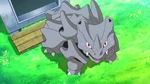 Rhyhorn serves as a pet and also part of Serena's training. It is shown to be very loving to Grace and her daughter.