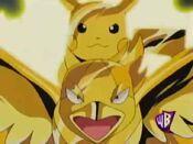 Pikachu hit himself and Swellow with Thunder, which works as an armor