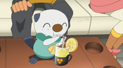 Oshawott drinks the honey soda