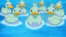 Cheren Ducklett