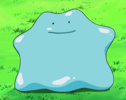 Pokémon Go: amorphous blob Ditto makes its debut