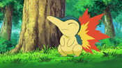 As Cyndaquil