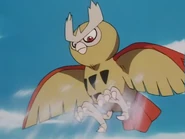 Whirlwind being used by Ash's Noctowl.