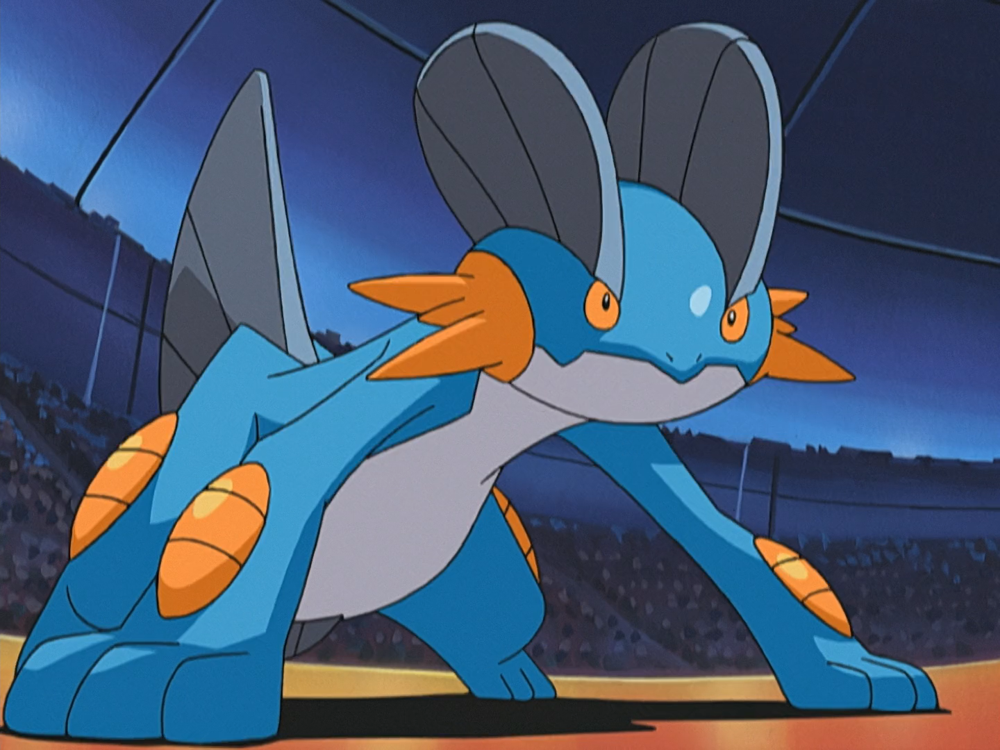 Tucker's Swampert (anime) .