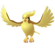 0018Pidgeot GO Shiny.png (42 KB)