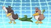 Kantonian and Galarian Farfetch'd