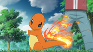 Red's Charmander Ember PO