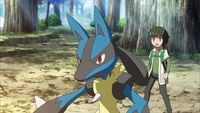 Sorrel Lucario.png