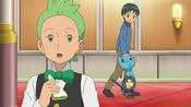 Cilan notices a lot of Oshawott on the cruiser