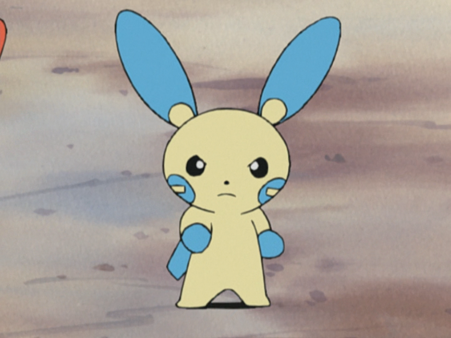 Thatcher S Minun Pokemon Wiki Fandom Thatcher S Minun Pokemon Wiki Fandom